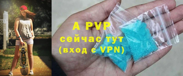 ECSTASY Липки