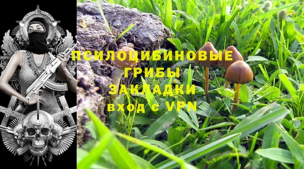 МДПВ Новозыбков